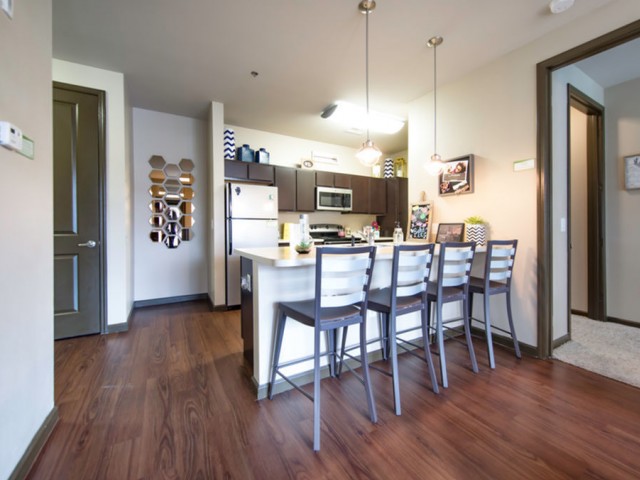 Image of Modern kitchen cabinets and upgraded countertops for The Republic