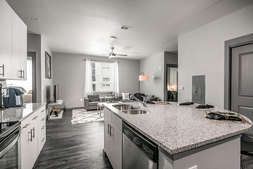 Modern open-concept kitchen and living area with sleek granite countertops, stylish cabinetry, and cozy seating arrangement in a bright apartment setting.