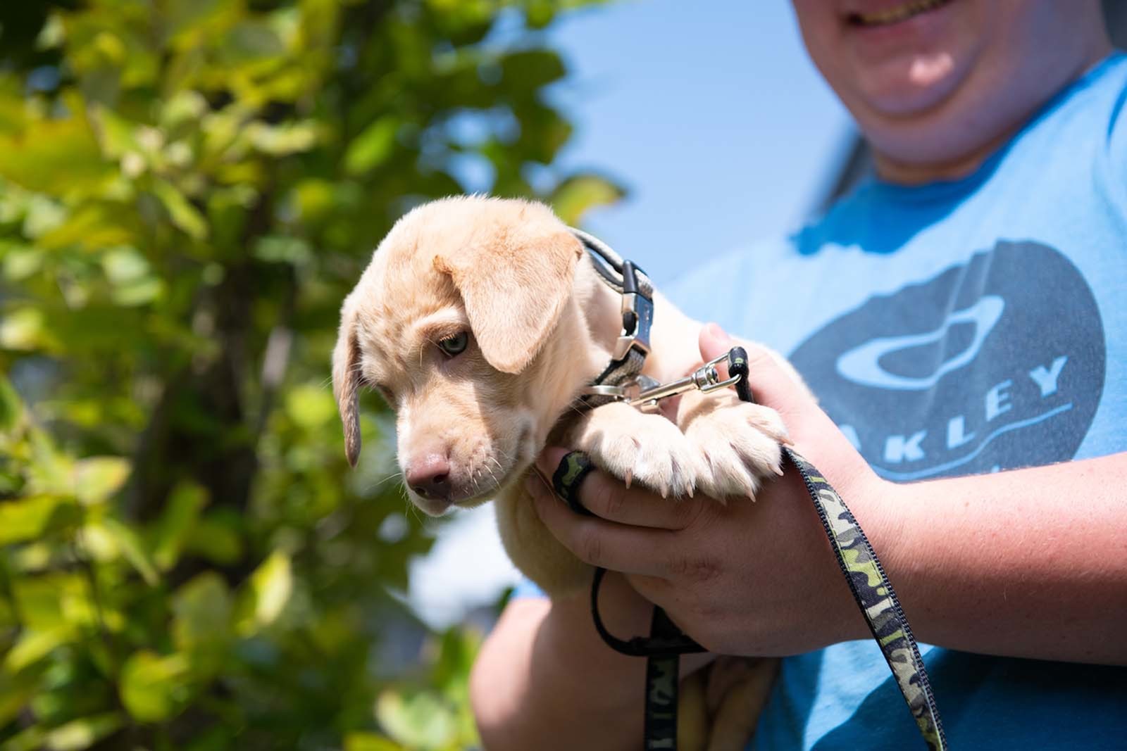Image of Pet Friendly - No Weight limit for Trifecta