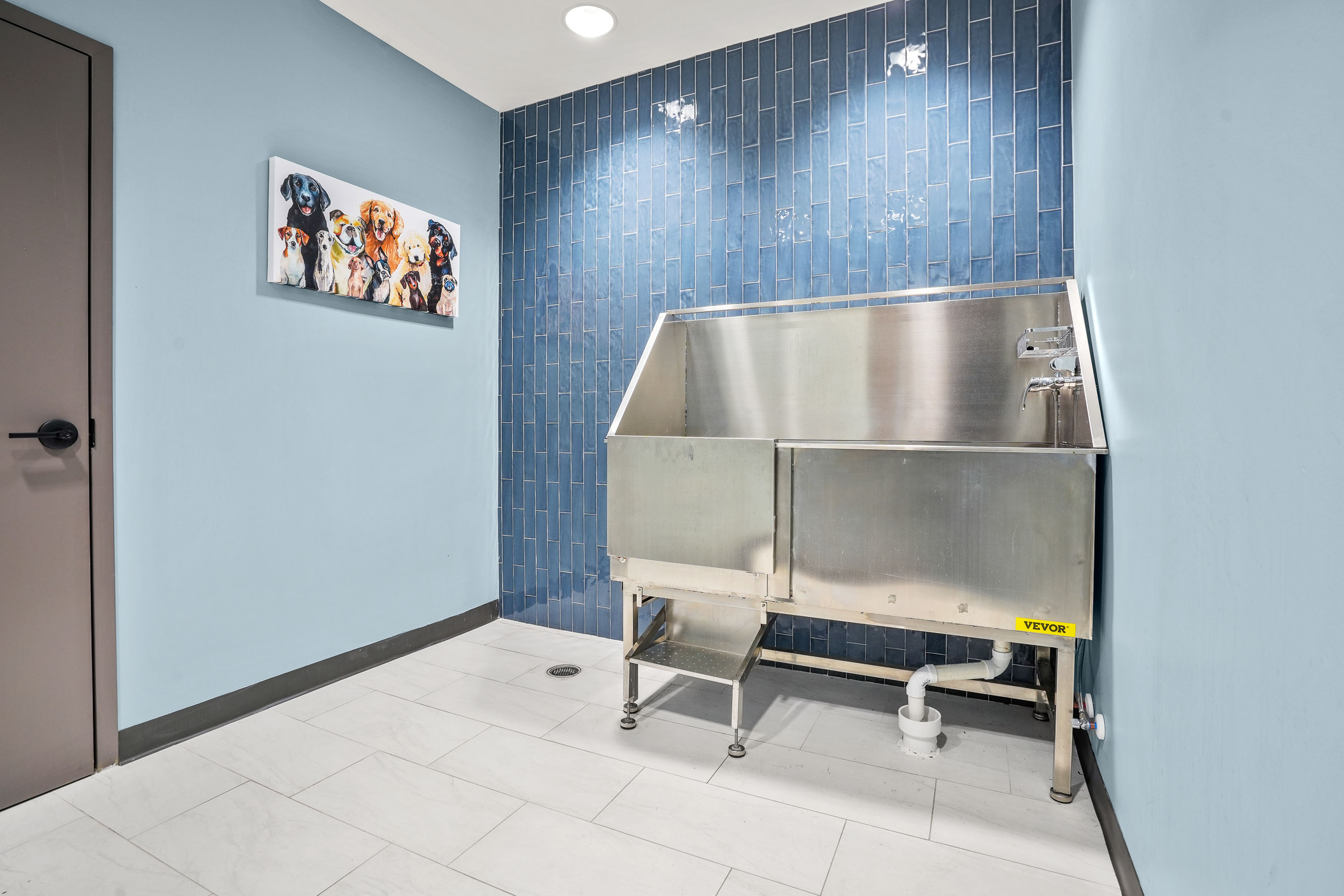 Modern pet washing station in apartment building with stylish blue tile wall and charming dog artwork.