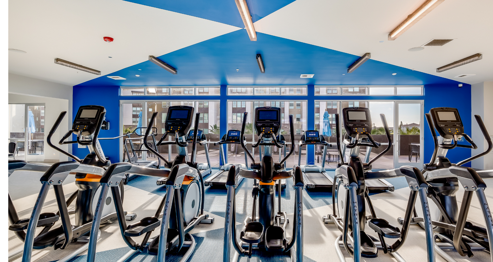 gym