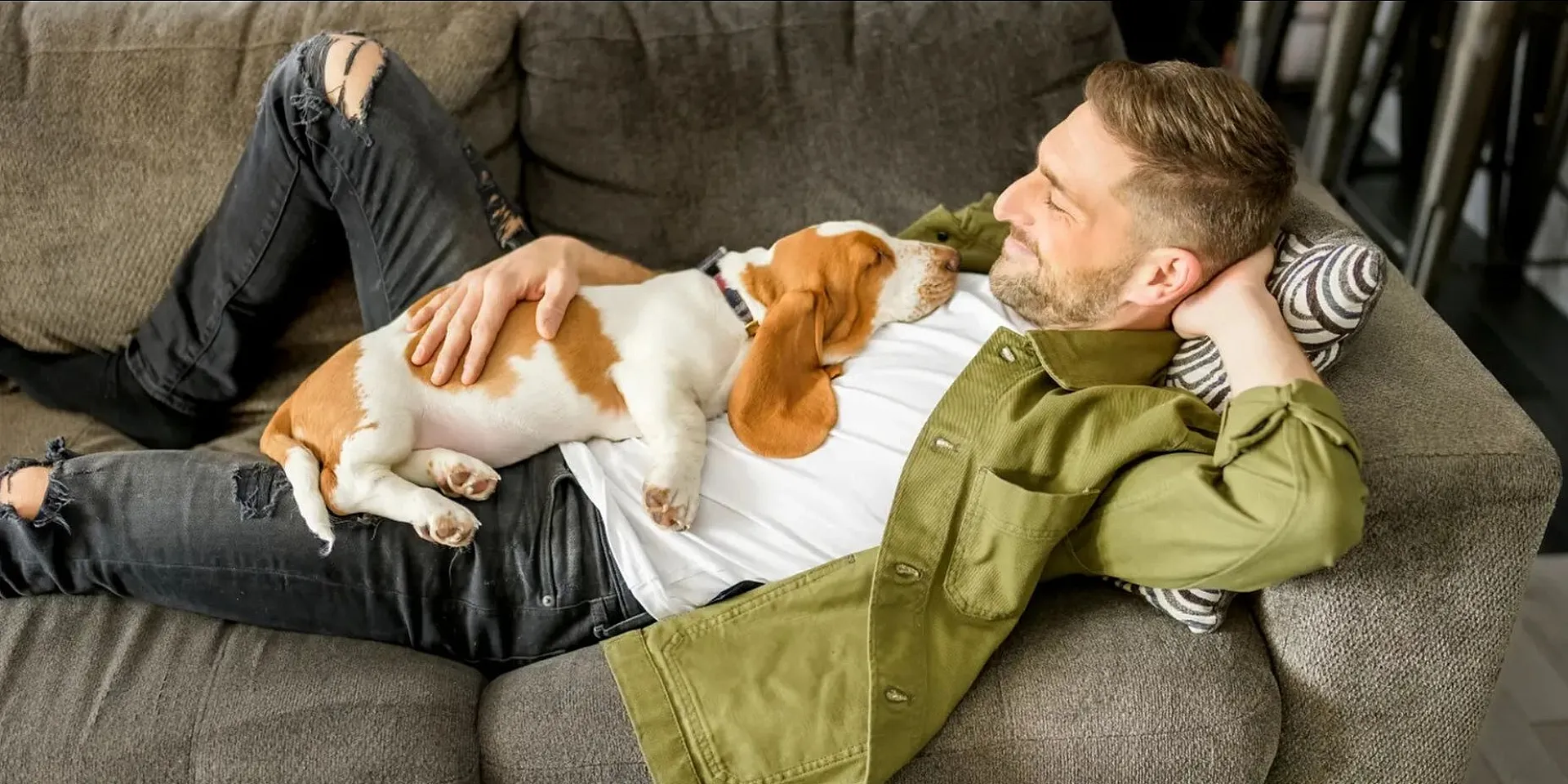 Cozy living space with a man relaxing on a plush sofa, accompanied by a sleeping Basset Hound puppy. A perfect spot for comfort and companionship.