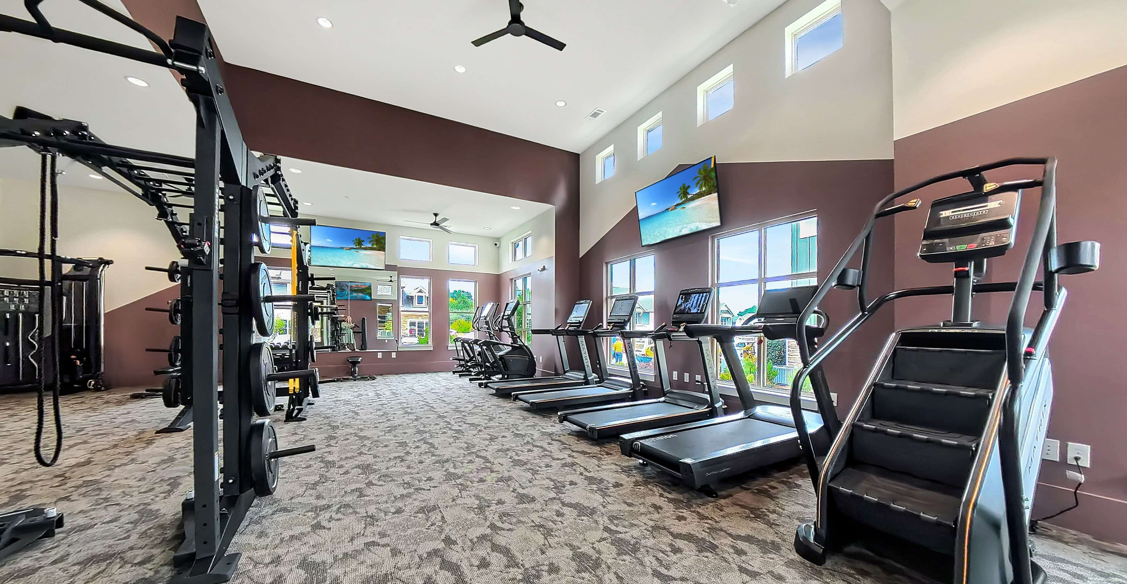 Cardio Equipment