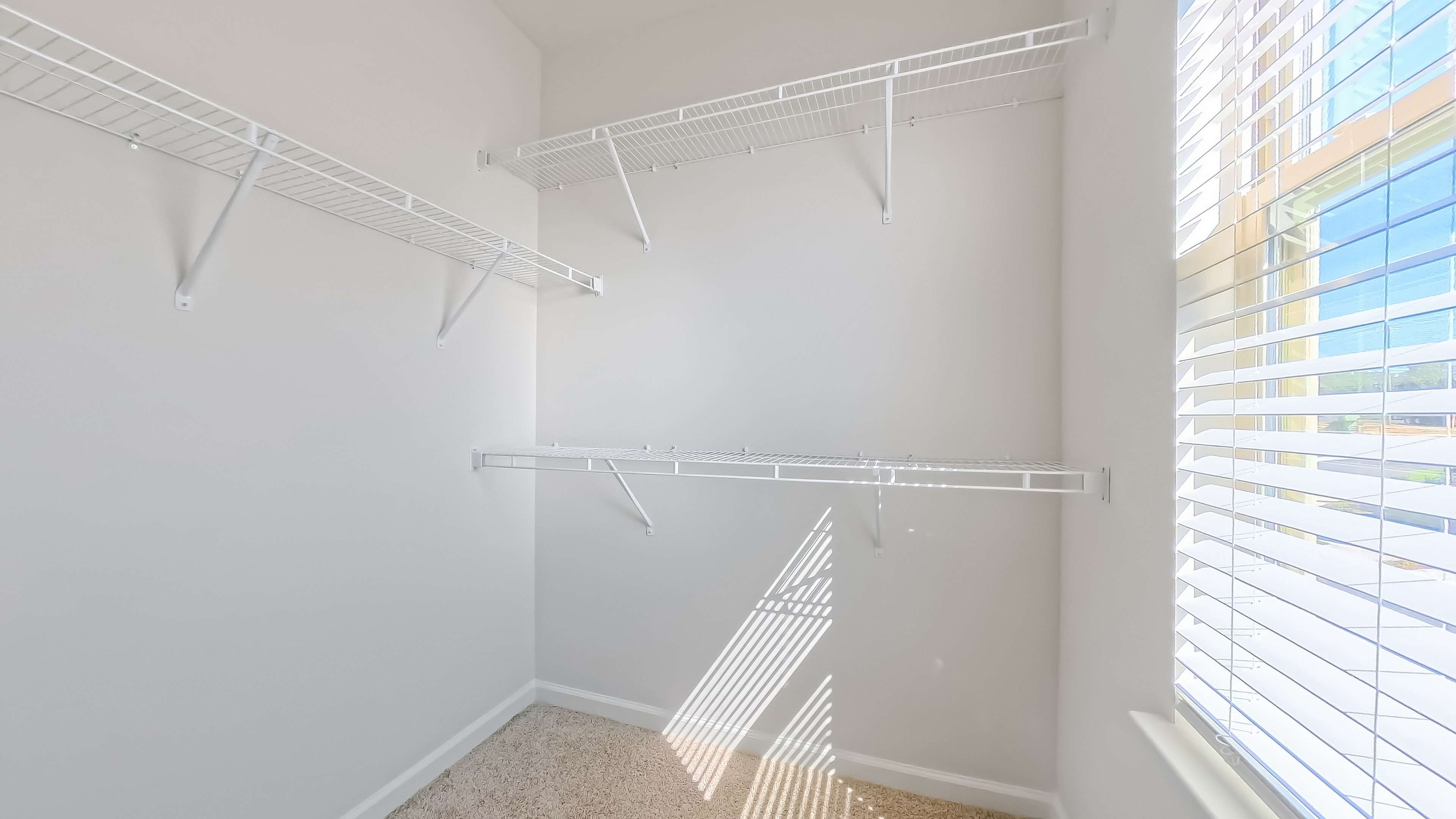 Bright and spacious walk-in closet with ample white shelving and natural light through large window.