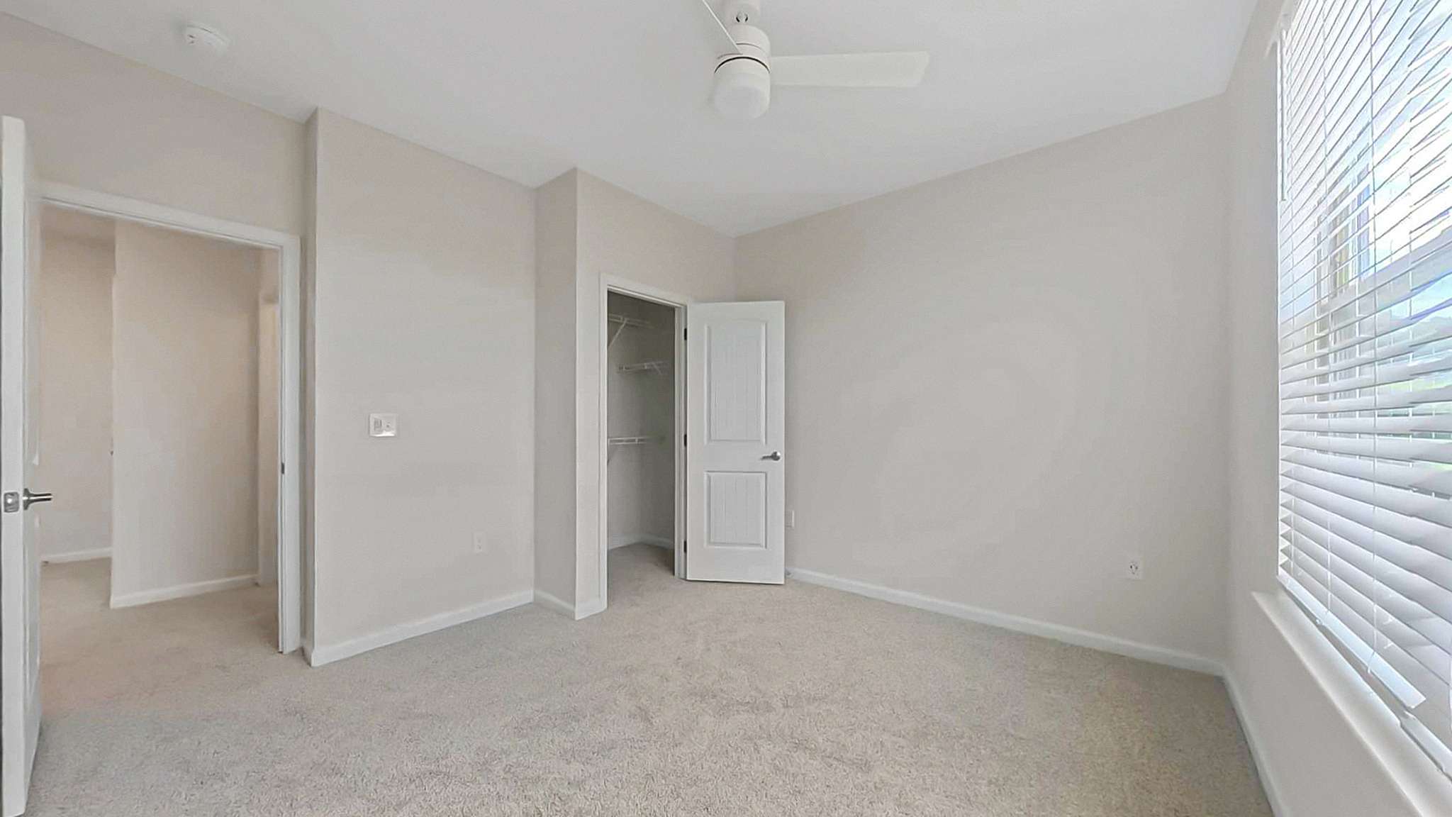Bright and airy bedroom with plush carpeting, a ceiling fan, and a spacious walk-in closet.
