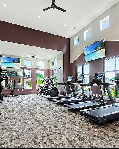 Modern gym with high ceilings featuring treadmills, stair climber, and a multi-use weight machine, bathed in natural light from large windows.