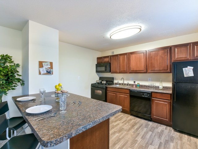 Junior 1 Bedroom B - Kitchen