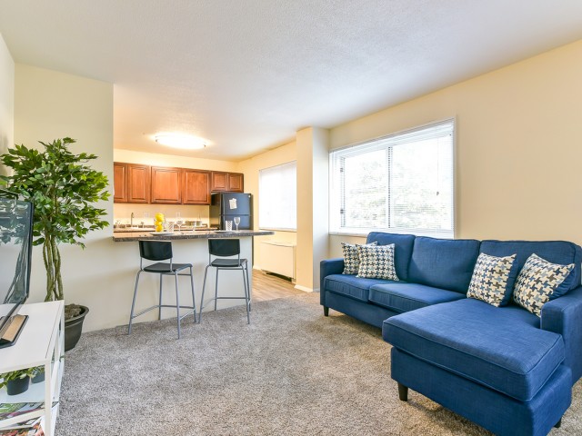 Junior 1 Bedroom B - Living Room