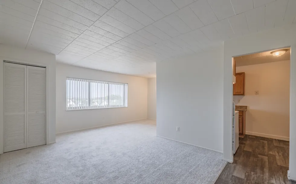 Plush Carpeting/Vinyl Plank Flooring
