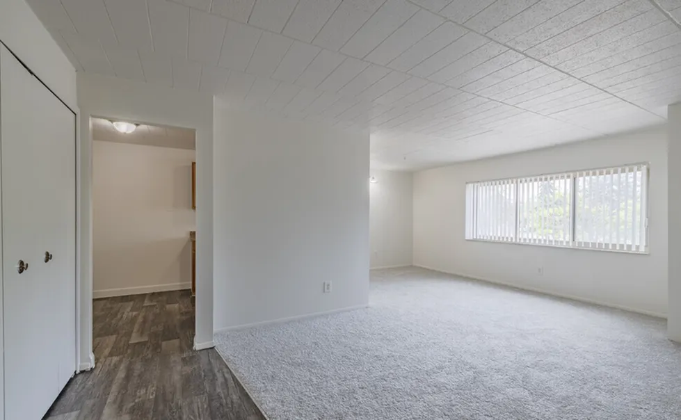 Spacious & Light Living/Dining Area