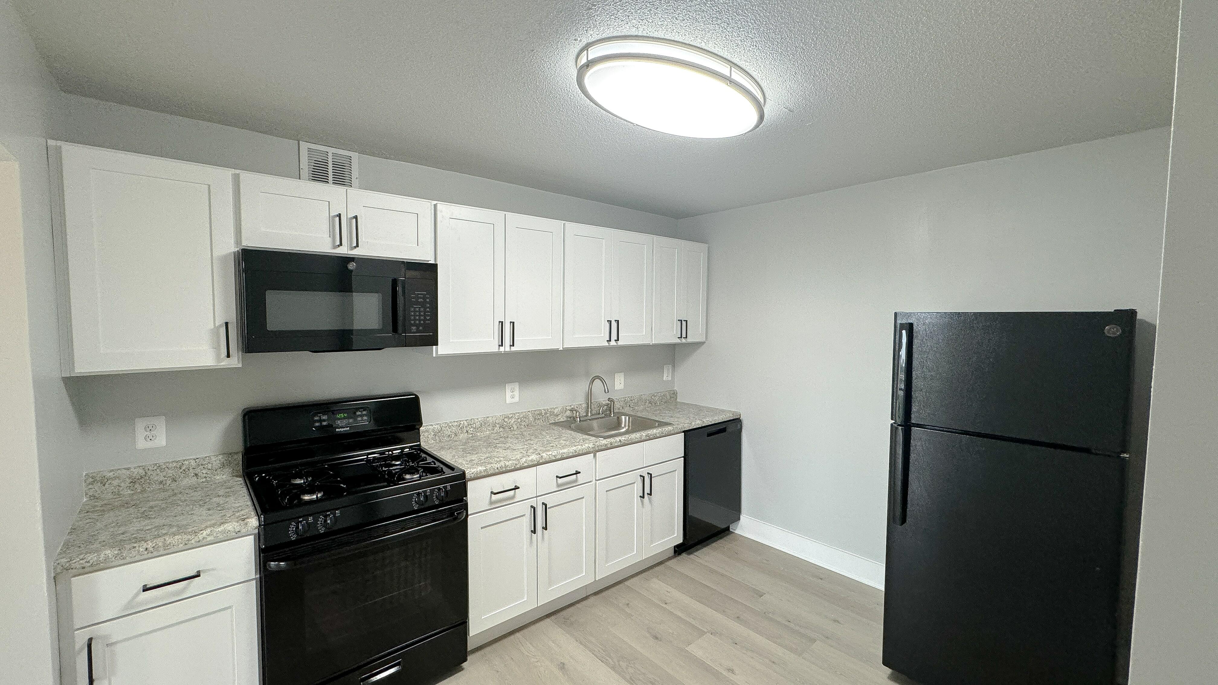 Renovated Kitchen
