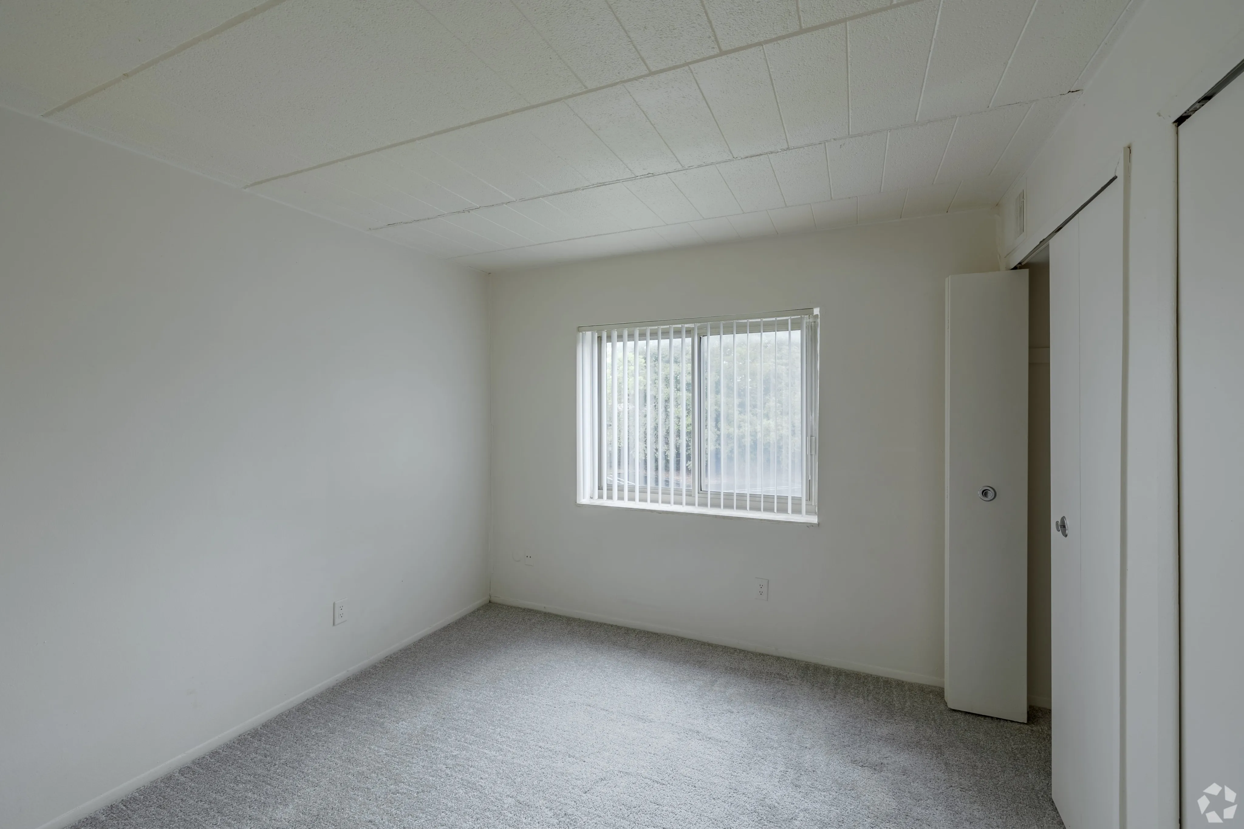 Spacious Second Bedroom