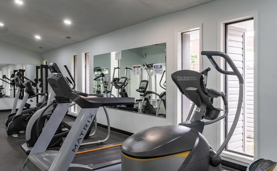 Modern fitness center equipped with state-of-the-art treadmills and elliptical machines, illuminated by sleek, ambient lighting.
