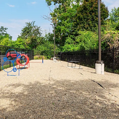 Inviting outdoor space with vibrant dog agility course amid lush greenery, ideal for pet-friendly living.