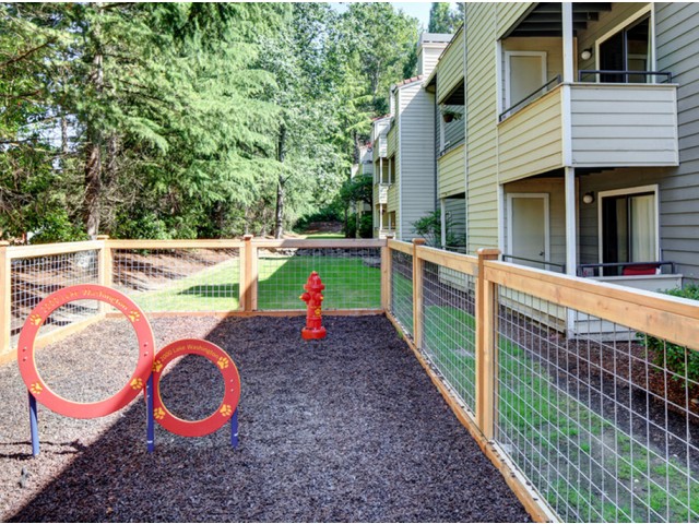 Community Bark Park | Apartments For Rent In Renton WA | 2000 Lake Washington Apartments