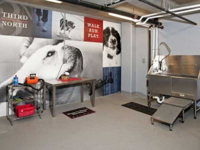 Pet Washing Station | Apartments near UW | Augusta Apartments