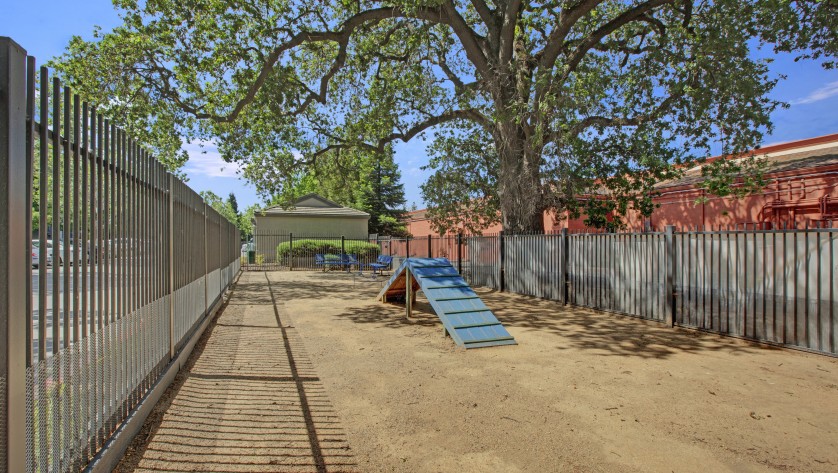 Bark Park and Dog Run |  Apartments in Sacramento CA  |  Broadleaf Apartments