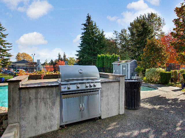 BBQ and Picnic Area