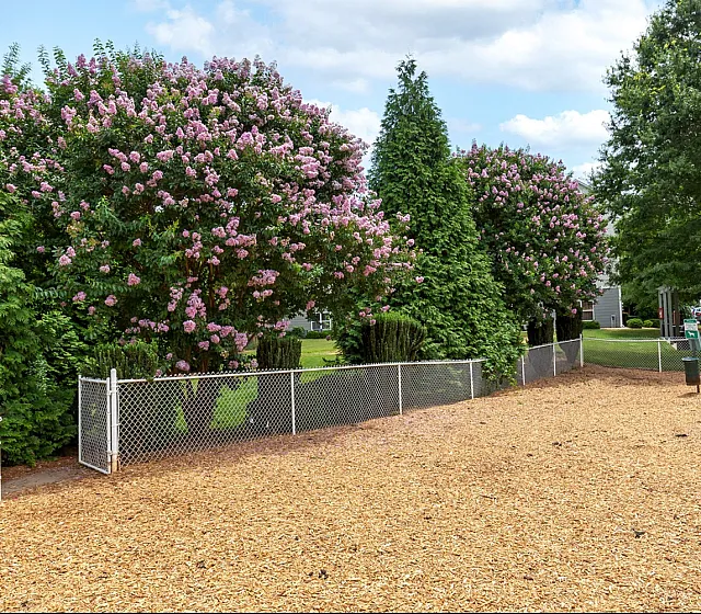 Peaceful garden area with lush greenery and blooming pink flowers, enclosed by a white fence.