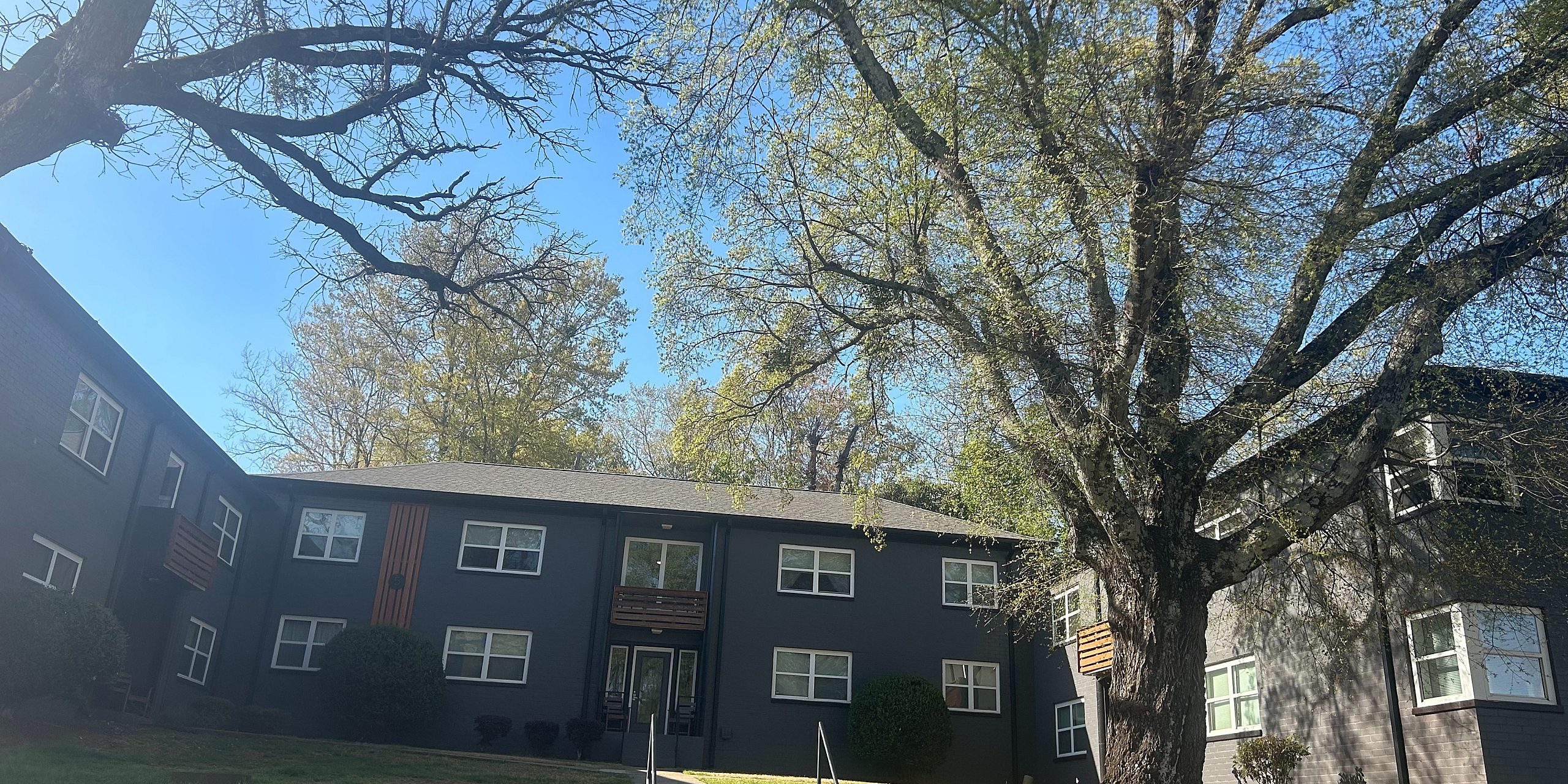 Charming apartment building with modern dark facade, nestled among lush trees and vibrant greenery, under a clear blue sky.