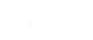Contemporary 29 North logo featuring a sleek, modern design with bold typography and a minimalist graphic element.