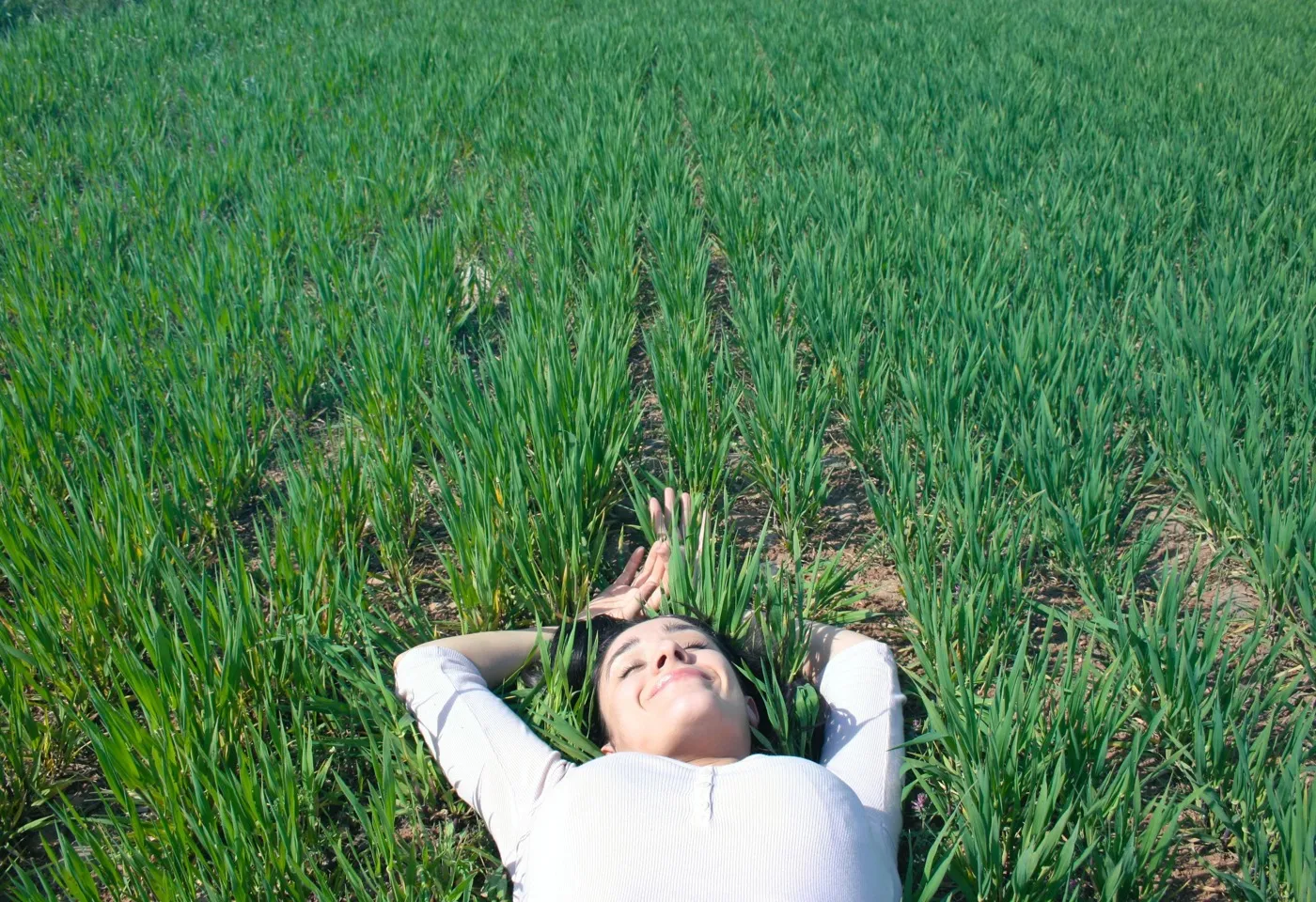 Resident Laying in Grass