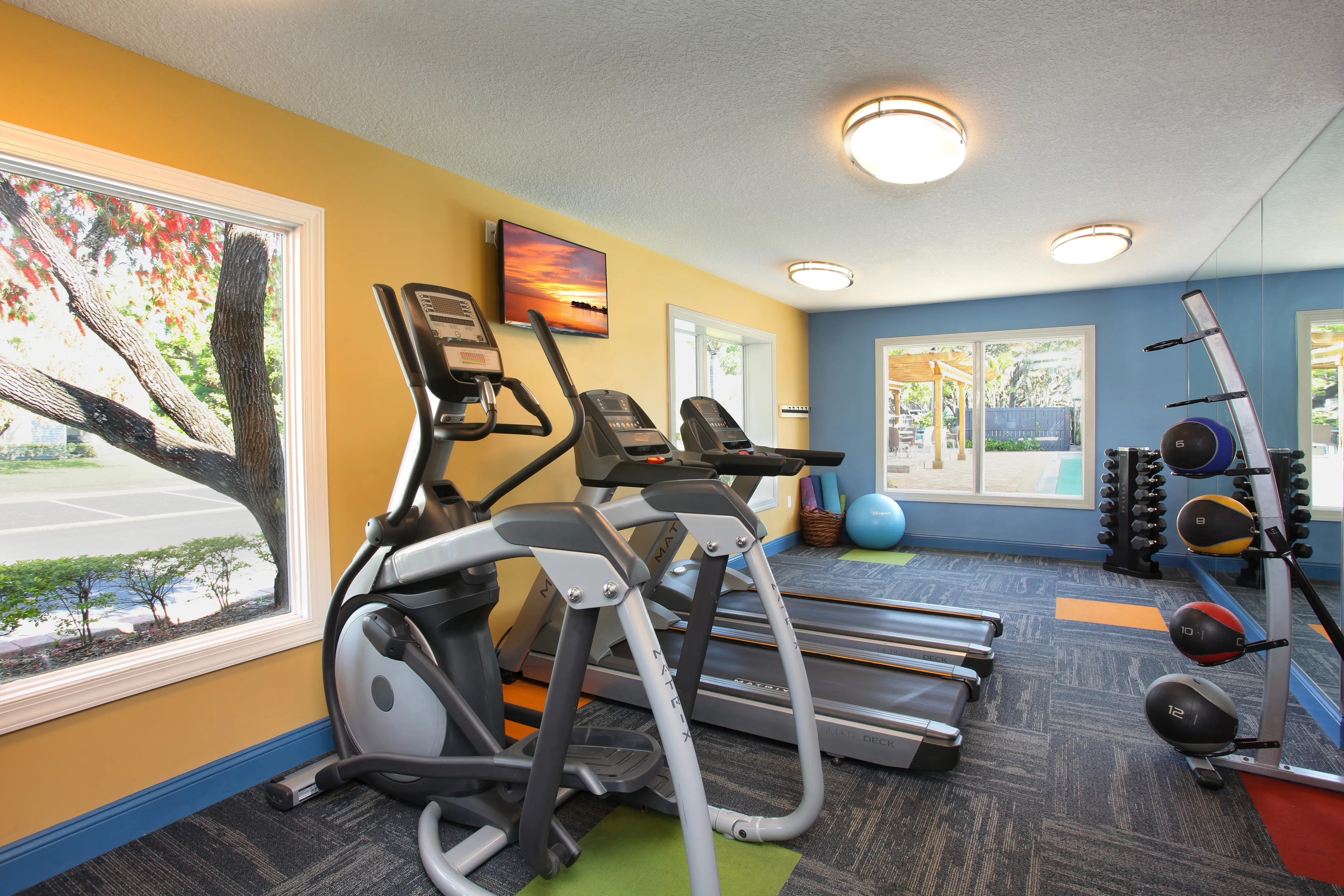 Agora at Port Richey, interior, fitness center, large windows, weights, ellipticals