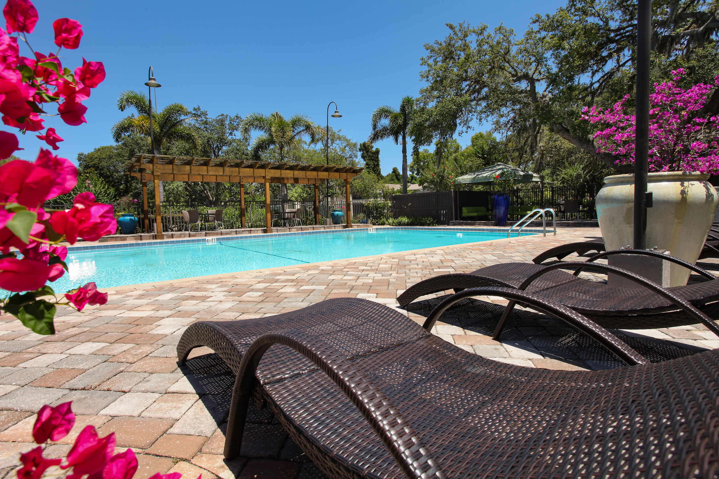 Agora at Port Richey, exterior, sparkling blue freshly resurfaced swimming pool with luxury upgraded pool furniture