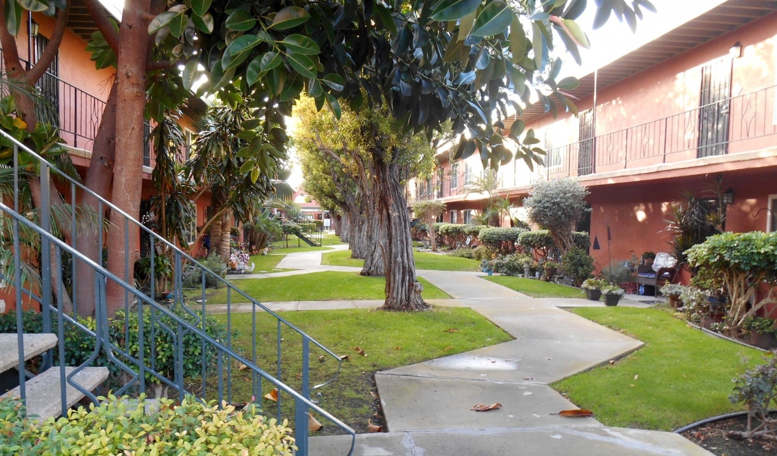 Springdale