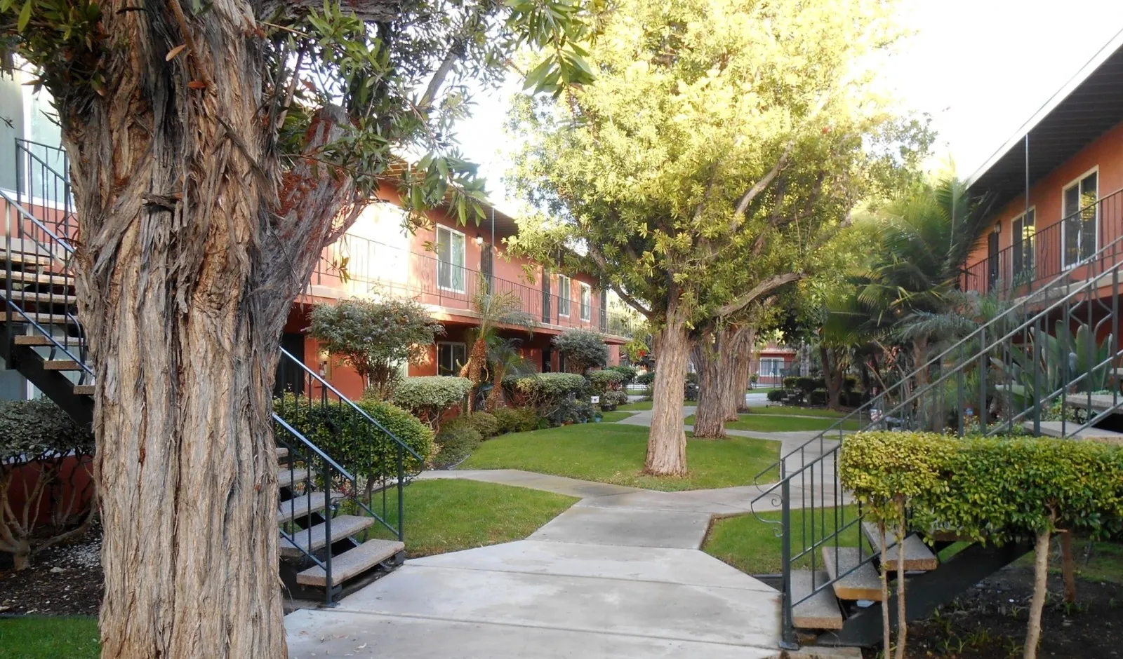 Springdale