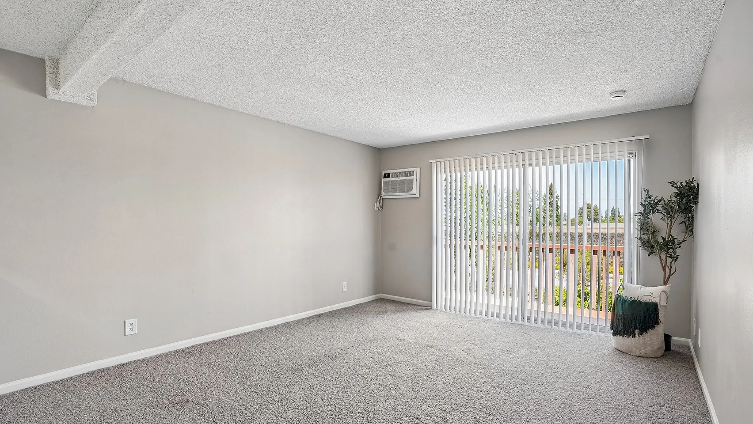 Bright and spacious living room with plush carpet, large sliding glass doors, and an inviting view of greenery.