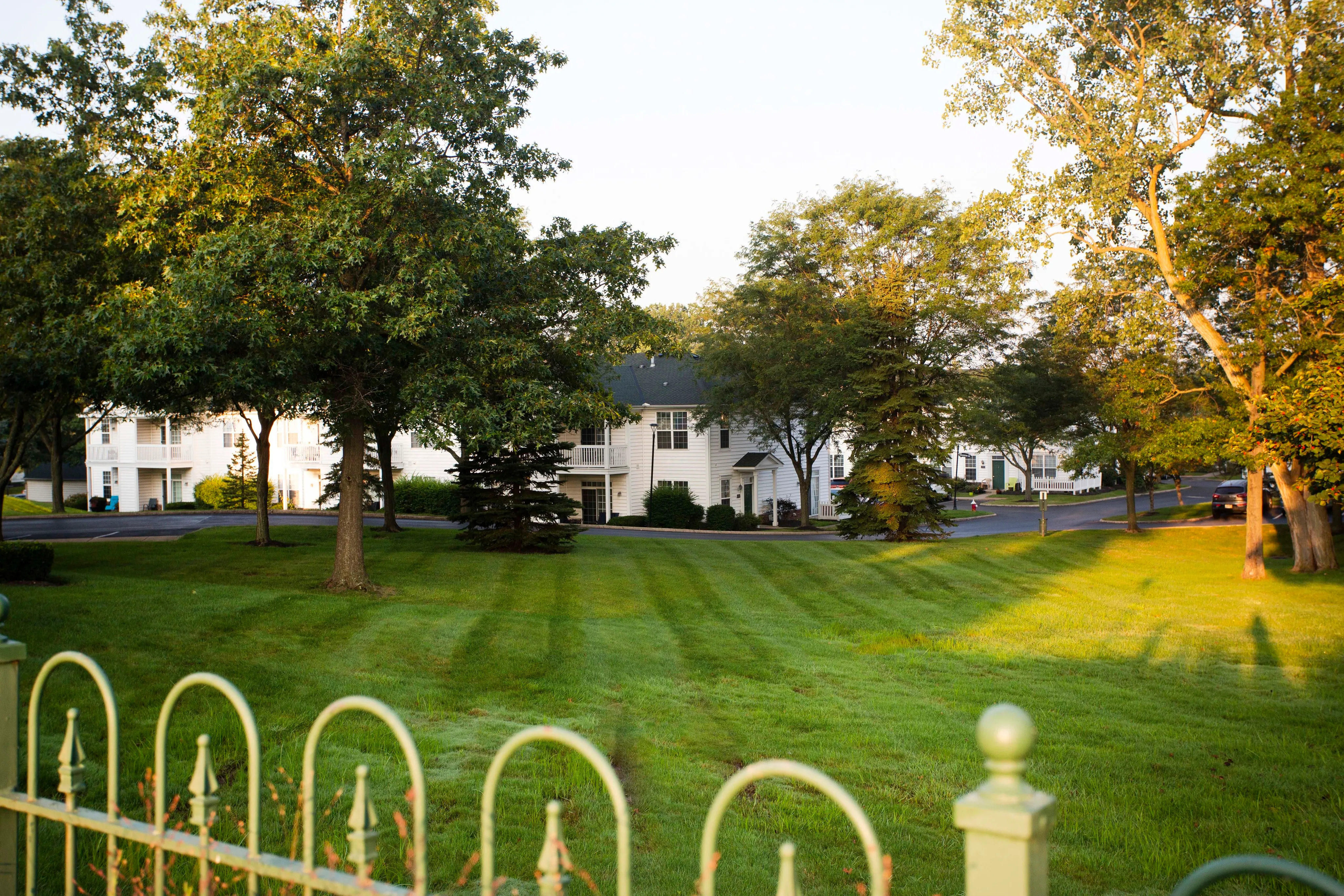 Charming suburban neighborhood with lush green lawns, mature trees, and elegant white houses basking in golden sunlight.