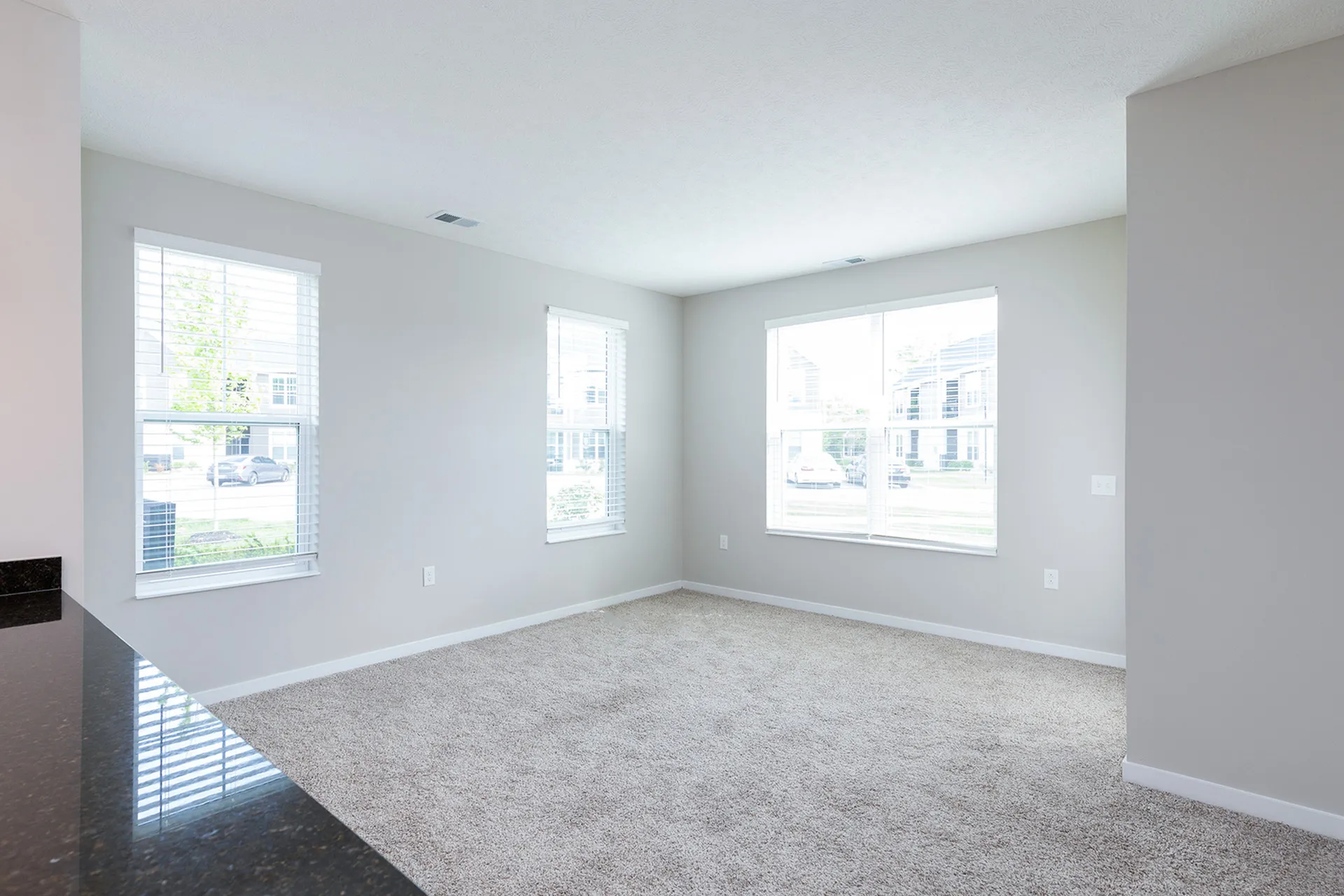 Carpet