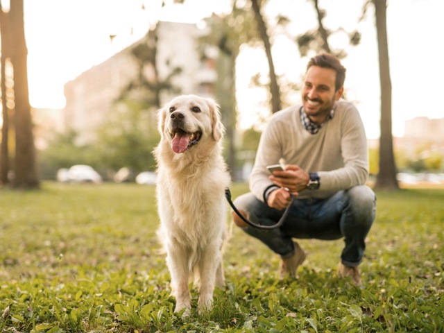 Towers Mercer Crossing Pet Friendly Community