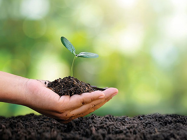 Nurturing a new beginning as a small green plant sprouts from rich soil, cradled in a gentle hand against a vibrant, blurred nature backdrop.