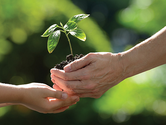 Hands nurturing a young plant in rich soil, symbolizing growth and sustainability against a lush green background.