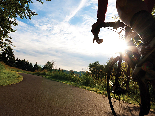 Dynamic image of a cyclist racing along a scenic, winding trail with the sun shining brightly in the background, showcasing outdoor adventure and vibrant fitness.