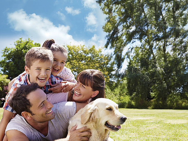 Joyful family enjoying a sunny day outdoors with their golden retriever in a lush green park.