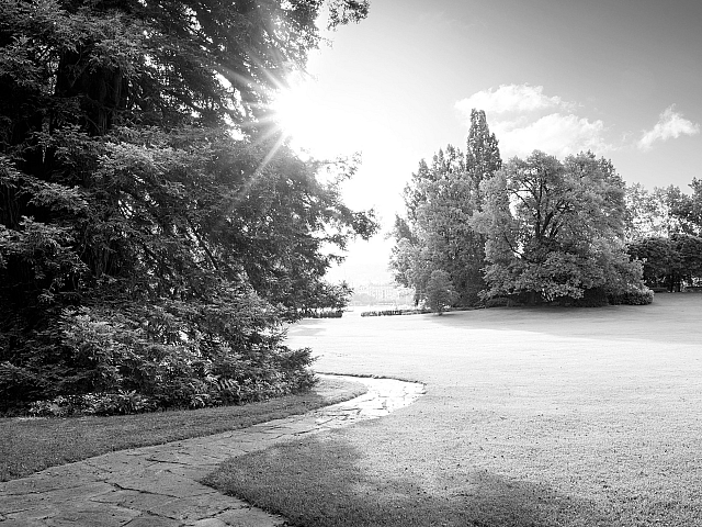 Serene landscape with sunrise casting a glow over a lush, verdant lawn and path curving through towering trees.