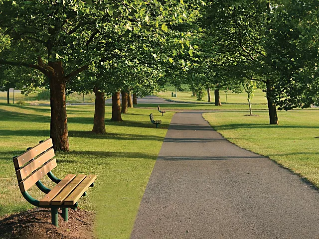 Serene park pathway lined with lush green trees and inviting benches, perfect for a peaceful stroll or relaxing break.