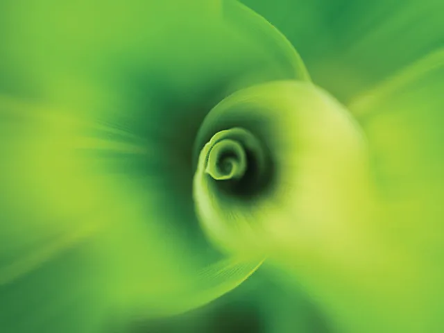 Abstract green swirl resembling a vibrant, spiraling leaf pattern, radiating energy and natural beauty.