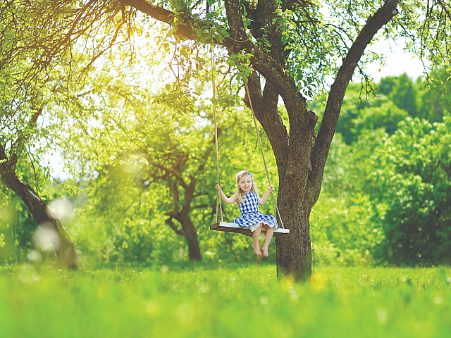 Charming scene of a cheerful girl in a blue-checkered dress enjoying a swing under a lush green tree bathed in sunshine.