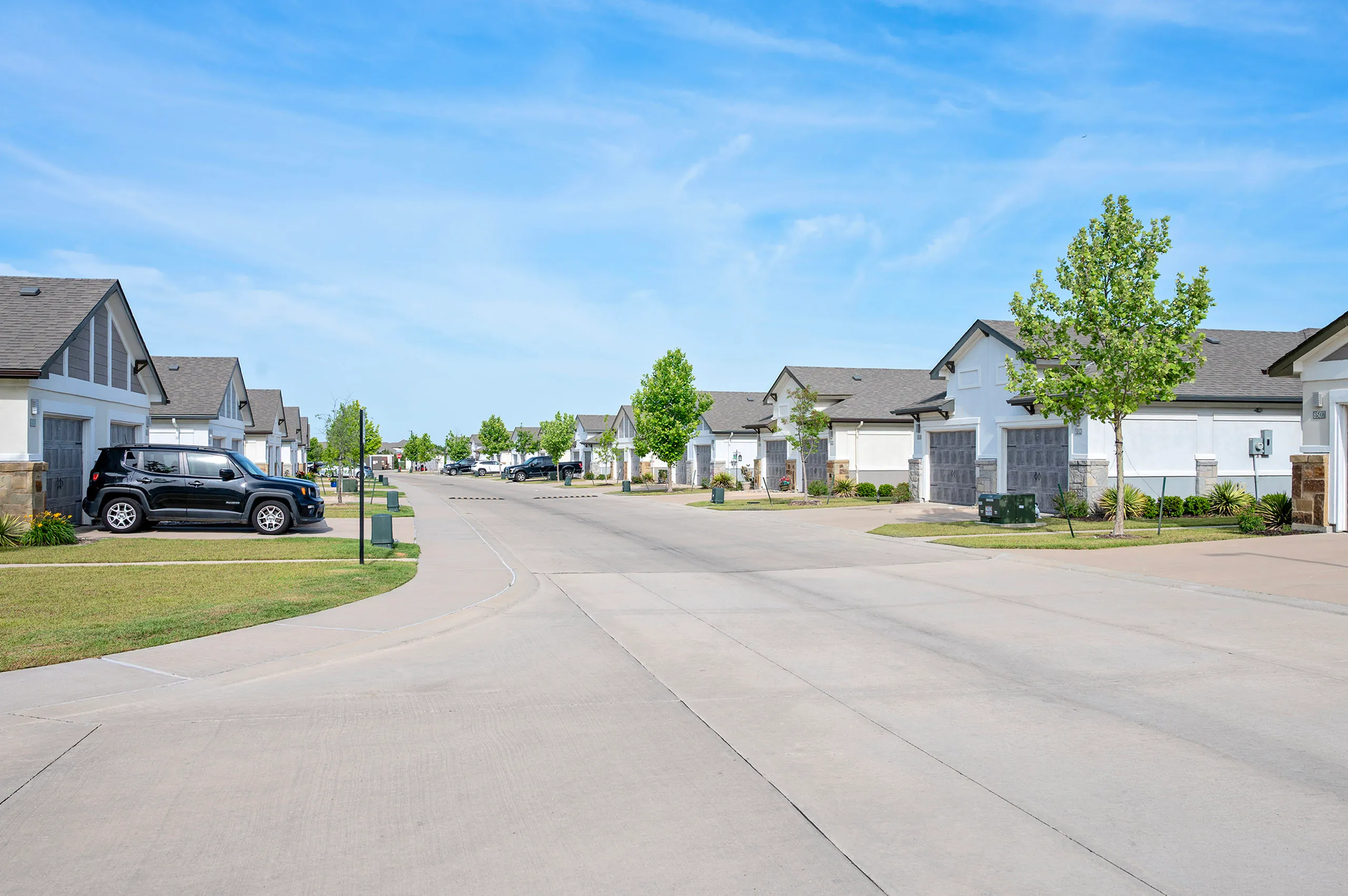 Charming suburban neighborhood with modern homes, lush greenery, and a clear blue sky, perfect for families.