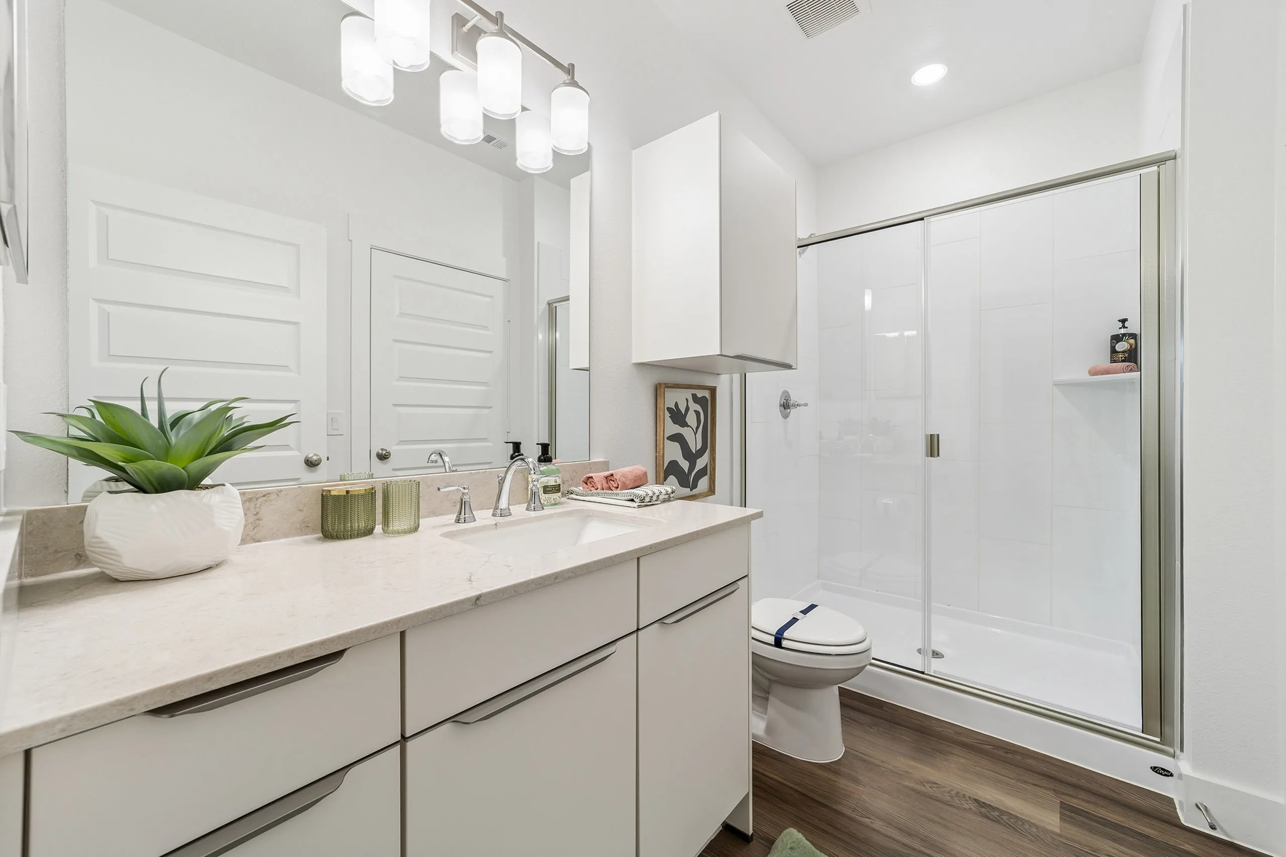 Modern bathroom with sleek countertops, stylish sink, glass-enclosed shower, and elegant lighting, finished with a touch of greenery.