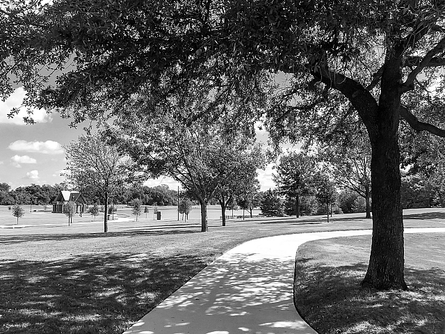 Serene park scene with a winding pathway, lush green trees, and open grassy areas under a clear sky.