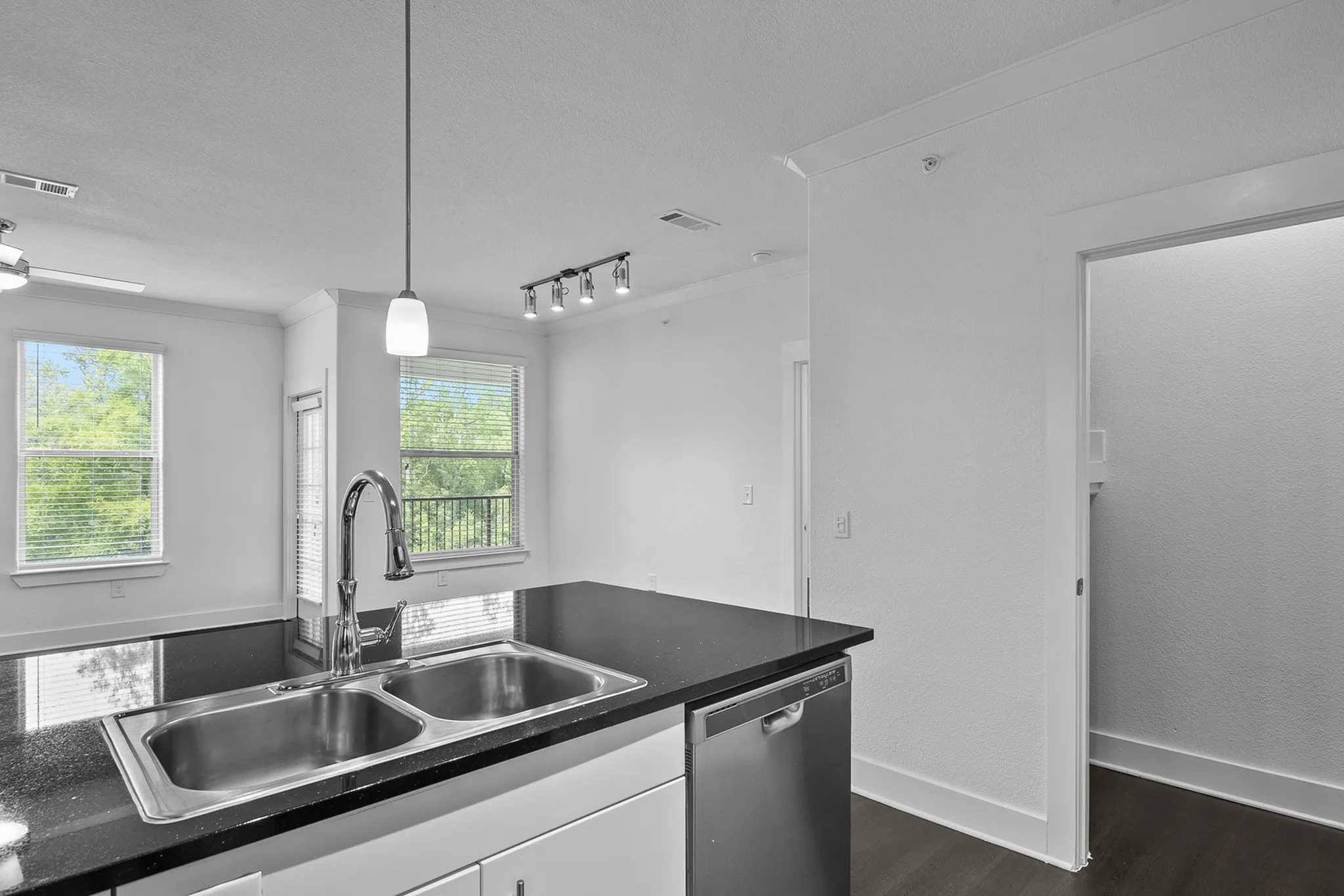 Bright modern kitchen with sleek black countertops, dual stainless steel sinks, and ample natural light from large windows.