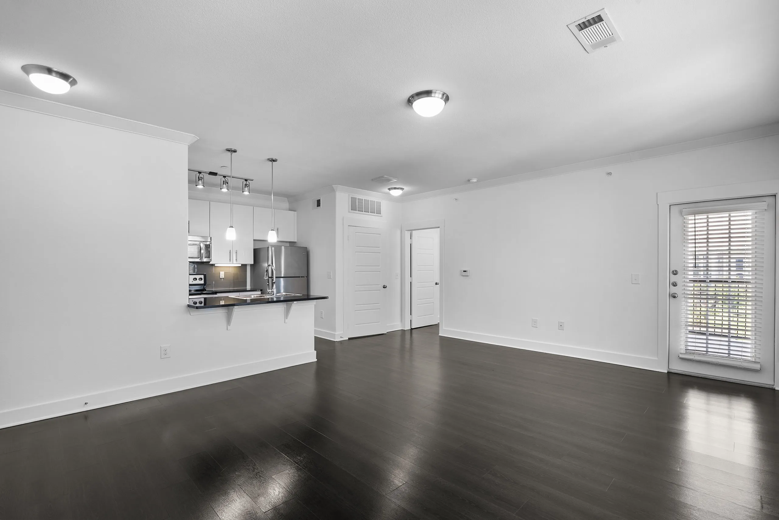 Modern living space with elegant dark wood flooring, open kitchen with sleek appliances, and abundant natural light through glass door.
