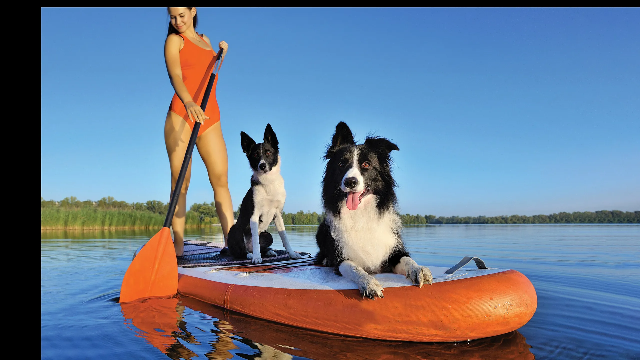Joyful scene of a woman in a bright orange swimsuit paddleboarding with two dogs on a serene lake under a clear blue sky.