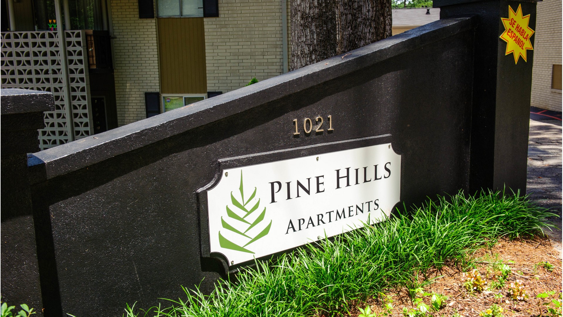 Pine Hills