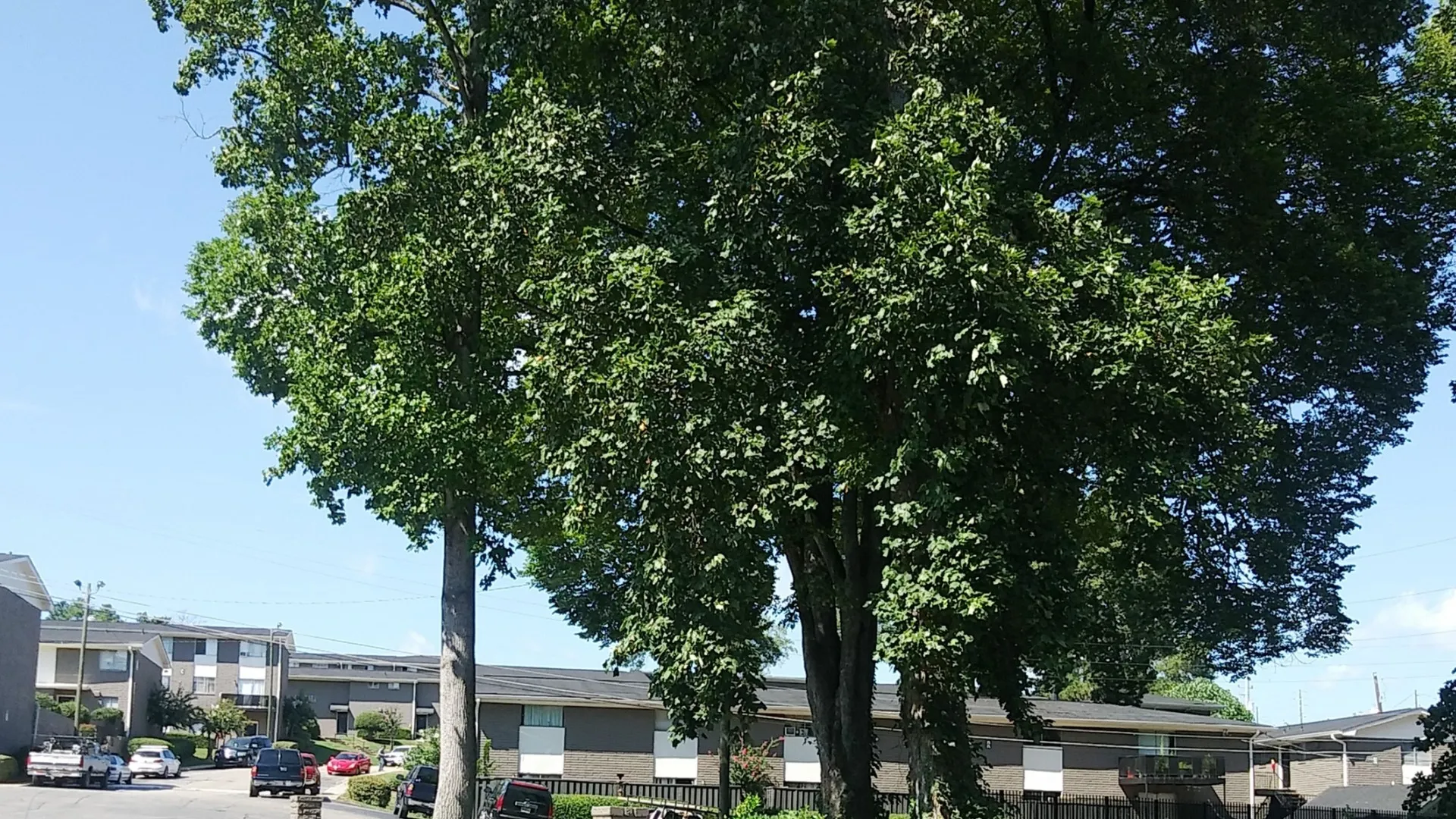 Highland Circle